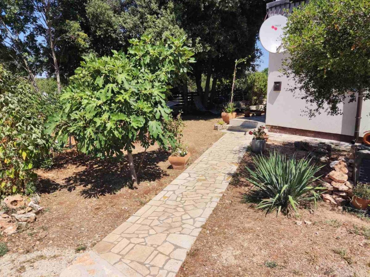 Viva 2 Rovinj Apartment Екстериор снимка